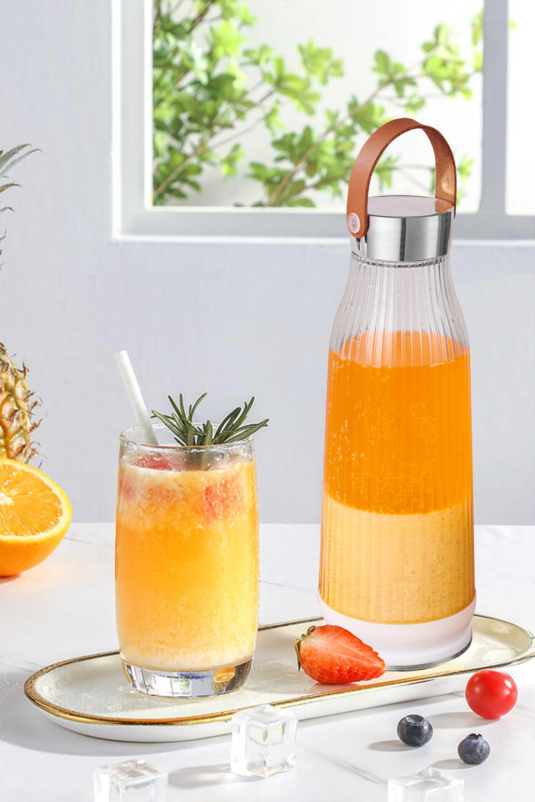 Ns-003 Portable Juicer